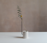 Serie CINCO | Antonio Gómez X Joseline Delgado | segundo aire